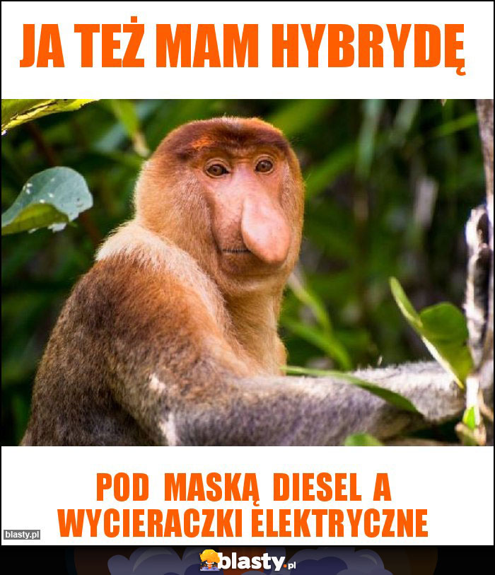 ja też mam hybrydę
