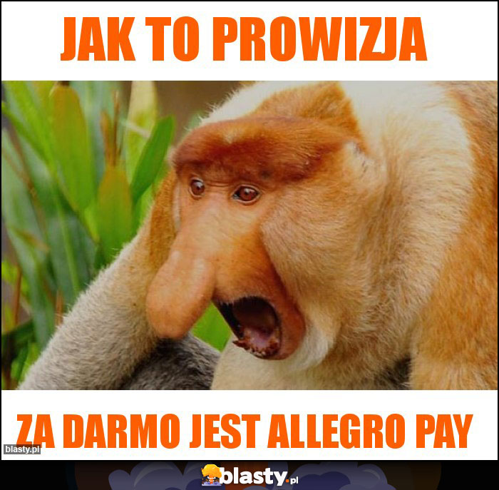 Jak to prowizja