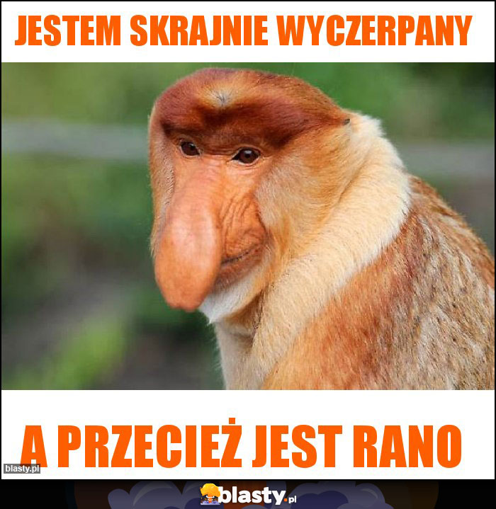 Jestem skrajnie wyczerpany