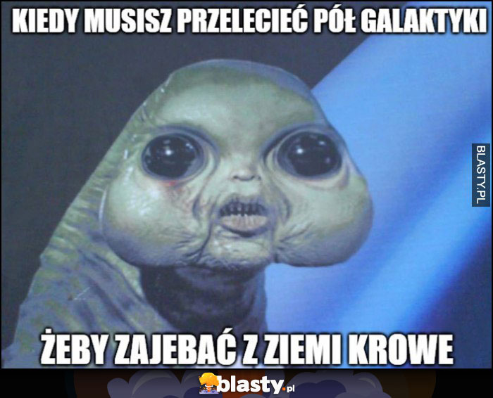 Kiedy musisz przelecieć pół galaktyki żeby ukraść z Ziemi krowę ufo obcy alien