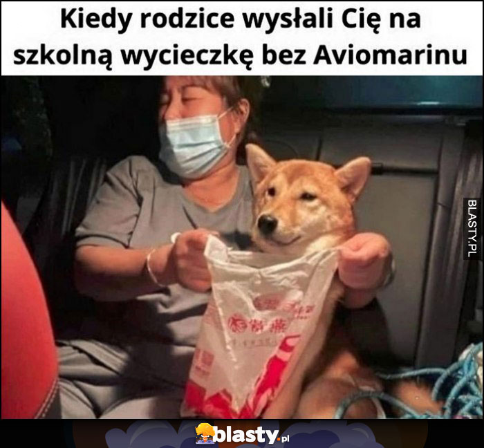 Kiedy rodzice wysłali Cię na szkolną wycieczkę bez aviomarinu pies pieseł rzyga wymiotuje