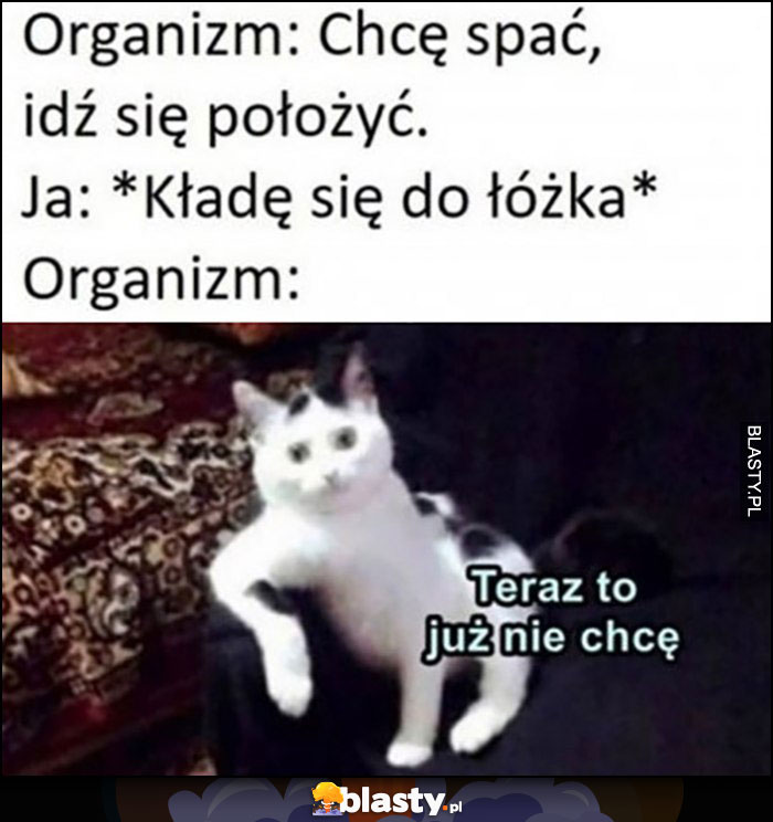 Kot organizm: chcę spać idź się położyc, ja: kładę się do łóżka, organizm: teraz to już nie chcę