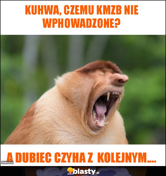 Kuhwa, czemu KMZB nie wphowadzone? Kuhwa, czemu KMZB nie wphowadzone?