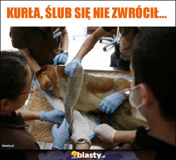 Kurła, ślub się nie zwrócił...