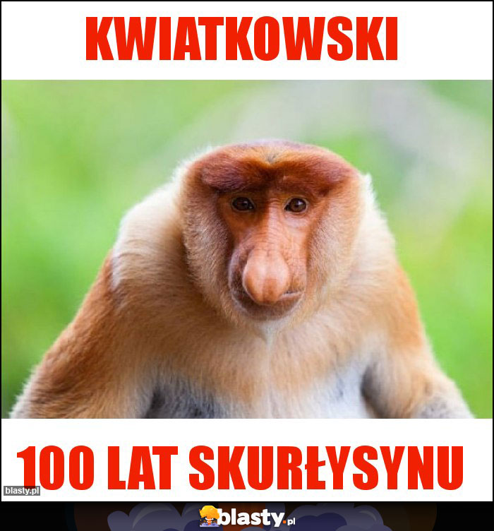 KWIATKOWSKI KWIATKOWSKI