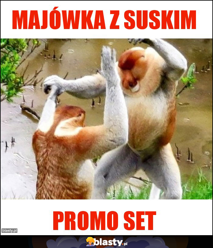 Majówka z Suskim Majówka z Suskim