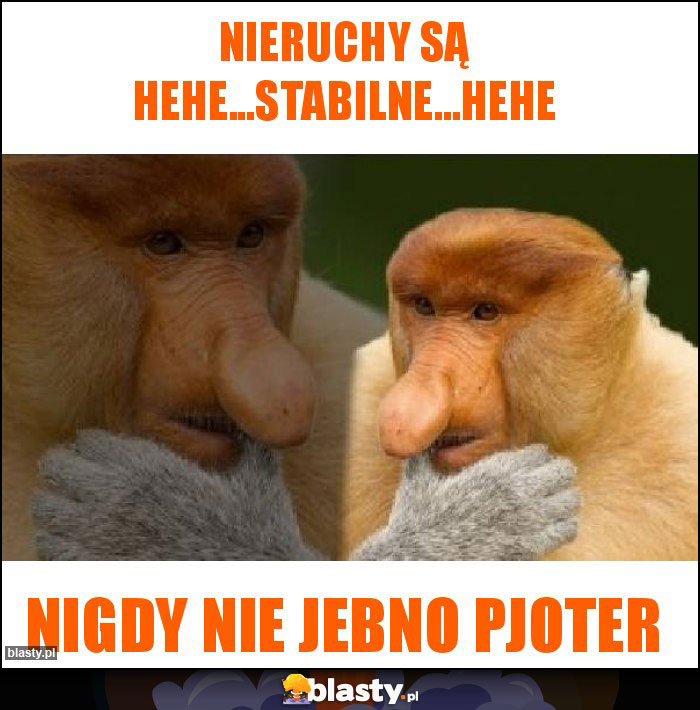 Nieruchy są hehe...stabilne...hehe Nieruchy są hehe...stabilne...hehe