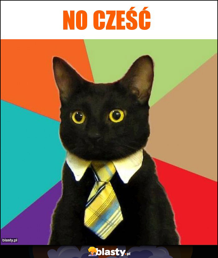 No cześć