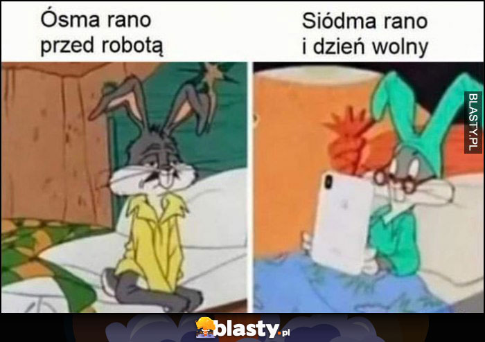 Ósma rano przed robotą vs siódma rano i dzień wolny królik Bugs porównanie