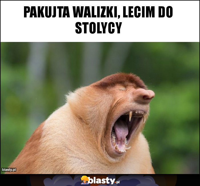 Pakujta walizki, lecim do stolycy