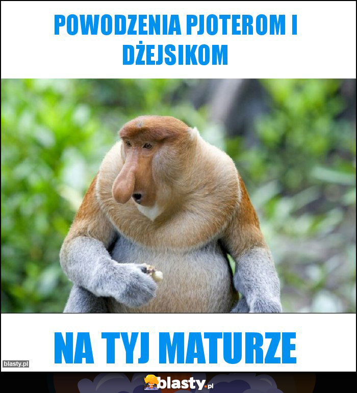 Powodzenia Pjoterom i Dżejsikom