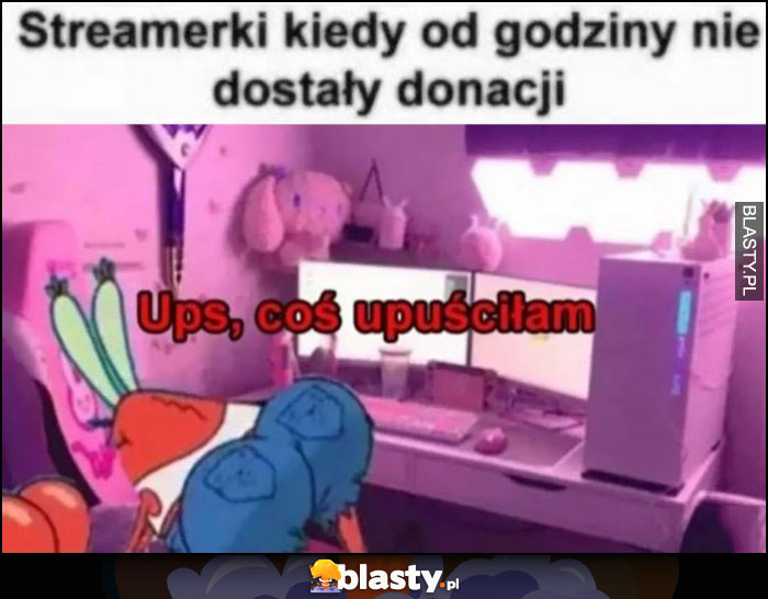 Streamerki kiedy od godziny nie dostały donacji ups coś upuściłam Spongebob