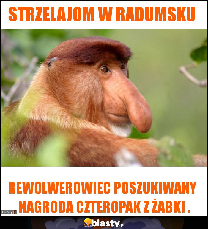 Strzelajom w Radumsku Strzelajom w Radumsku