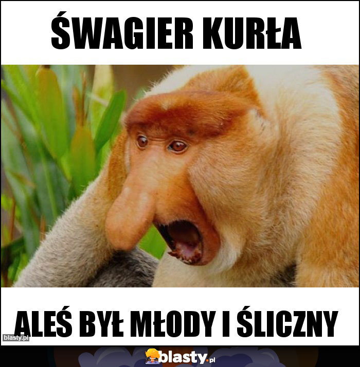 ŚWAGIER KURŁA ŚWAGIER KURŁA