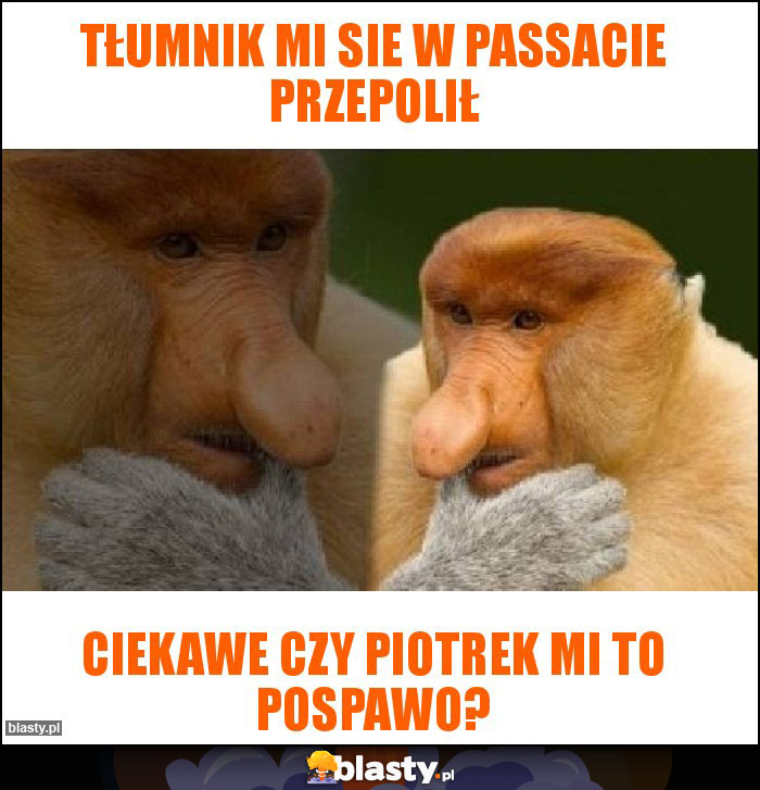 Tłumnik mi sie w passacie przepolił Tłumnik mi sie w passacie przepolił