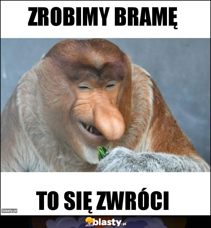 Zrobimy bramę