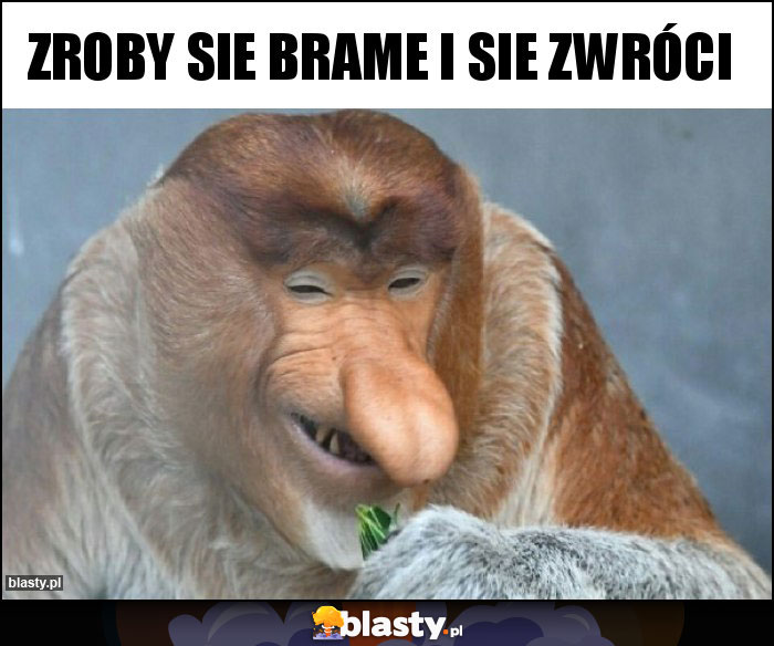 Zroby sie brame i sie zwróci