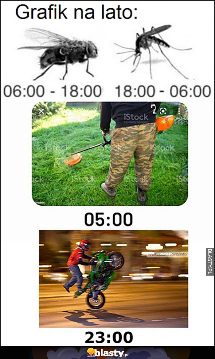 Grafik na lato: muchy, komary, koszenie trawy, debile na motocyklach