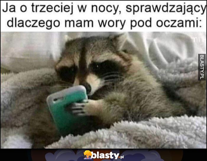 Ja o trzeciej w nocy sprawdzający dlaczego mam wory pod oczami szop pracz