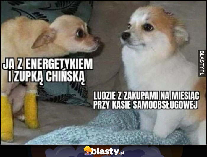 Ja z energetykiem i zupką chińską vs ludzie z zakupami na miesiąc przy kasie samoobsługowej