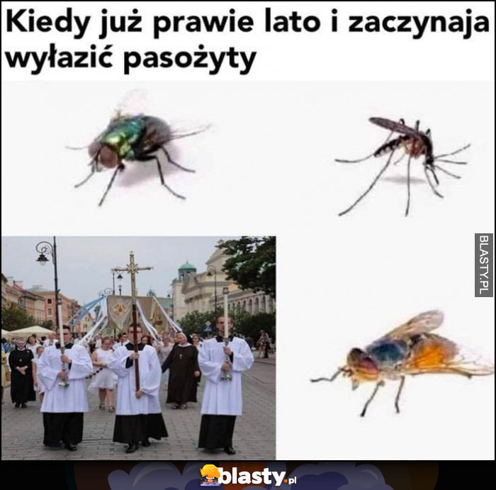 Kiedy już prawie lato i zaczynają wyłazić pasożyty muchy procesja na Boże Ciało