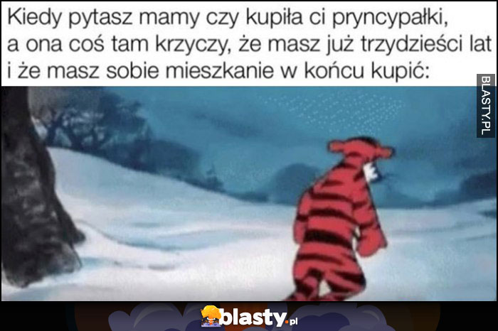 Kiedy pytasz mamy czy kupiła ci pryncypałki, a ona krzyczy że masz 30 lat i masz sobie mieszkanie w końcu kupić smutny tygrysek