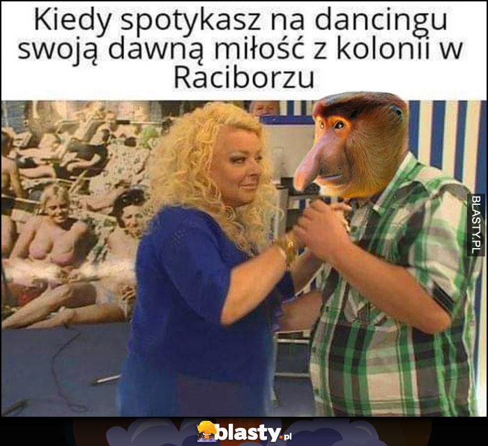 Kiedy spotykasz na dancingu swoją dawną miłość z kolonii w Raciborzu Gessler Polak nosacz małpa