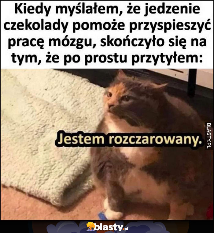 Kot kiedy myślałem, że jedzenie czekolady pomoże przyśpieszyć pracę mózgu, a skończyło się na tym, że po prostu przytyłem, jestem rozczarowany