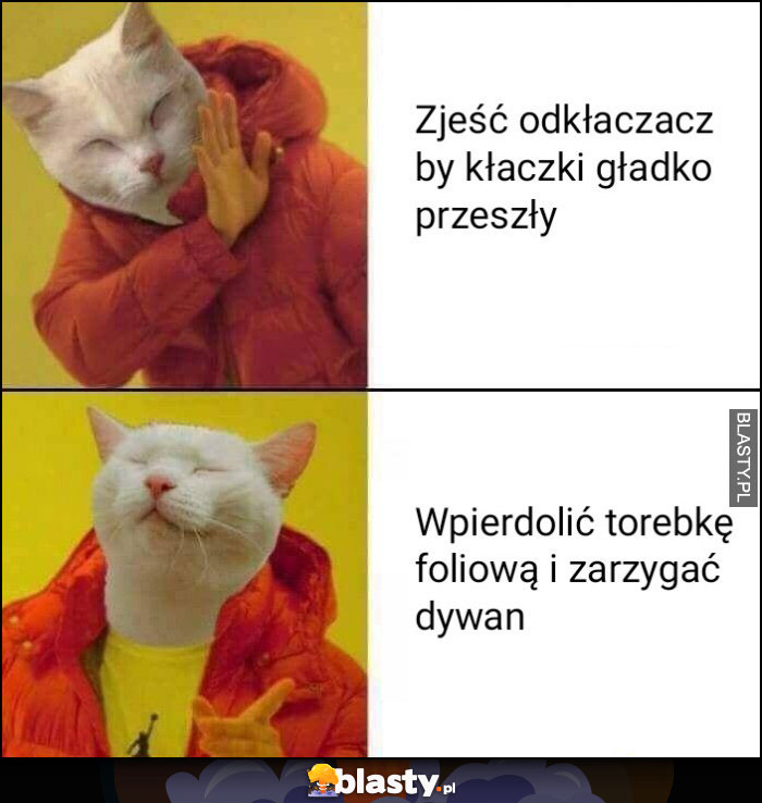 Kot: zjeść odkłaczacz by kłaczki gładko przeszły nie chce woli zjeść torebkę foliową i zarzygać dywan