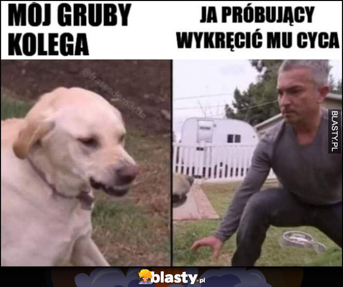 Mój gruby kolega vs ja próbujący wykręcić mu cyca zły pies