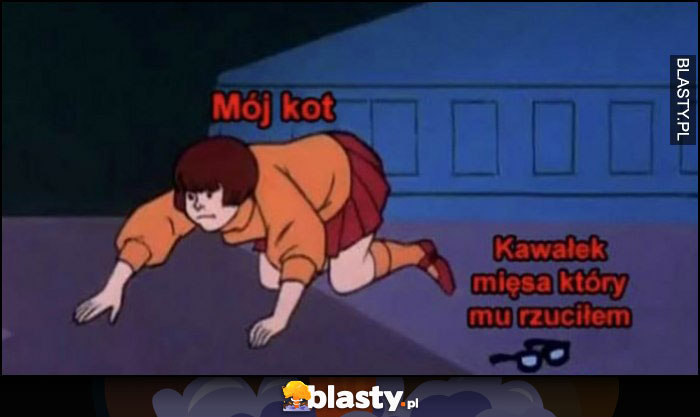 Mój kot vs kawałek mięsa który mu rzuciłem Scooby-doo Velma nie może znaleźć