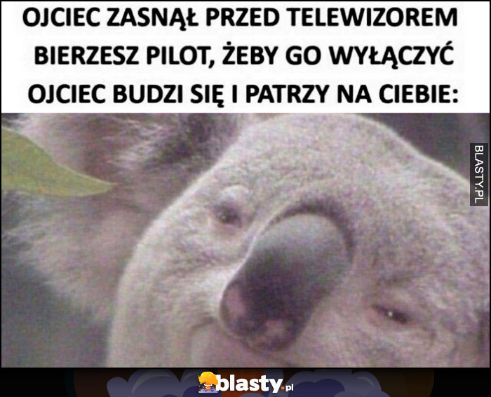 Ojciec zasnął przed telewizorem, bierzesz pilota żeby wyłączyć, ojciec budzi się koala