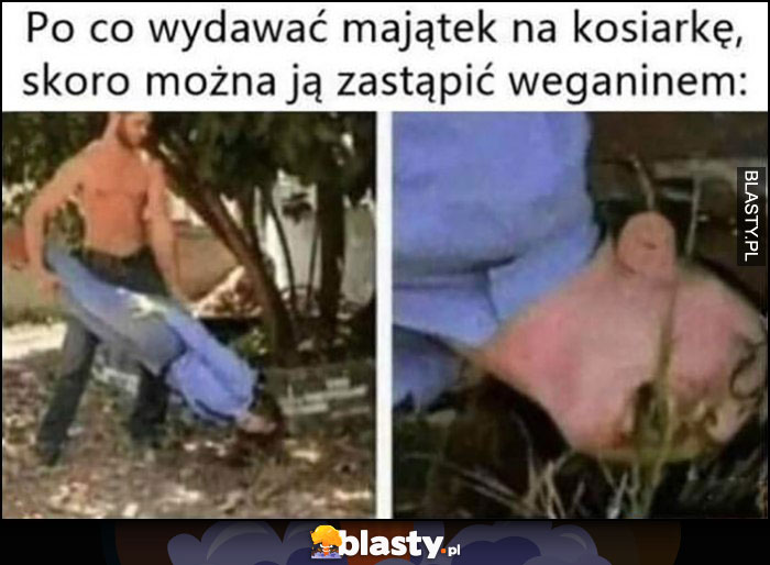 Po co wydawać majątek na kosiarkę skoro można ją zastąpić weganinem