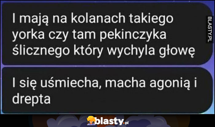 Się uśmiecha, macha agonią i drepta cytat autokorekta