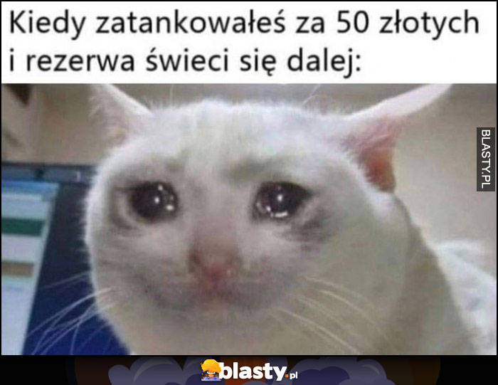 Smutny kot kiedy zatankowałeś za 50 złotych i rezerwa dalej się świeci