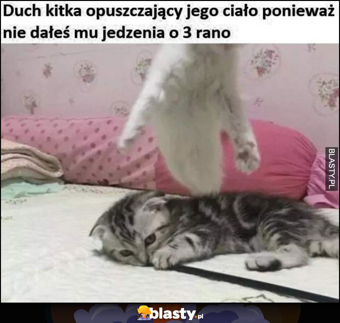 Duch kitka opuszczający jego ciało bo nie dałeś mu jedzenia o 3 rano