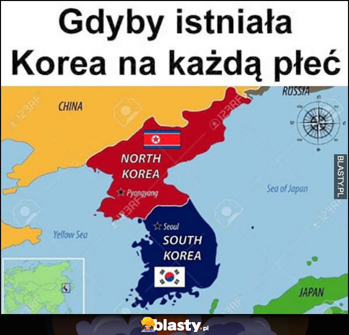 Gdyby istniała Korea na każdą płeć: północna i południowa