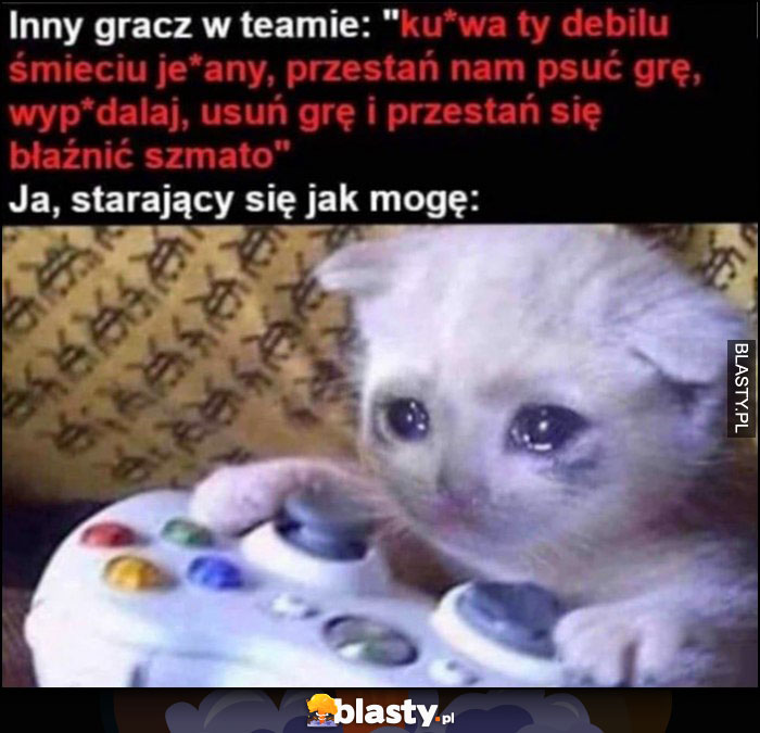 Inny gracz w teamie obraża mnie vs ja starający się jak mogę smutny kot płacze