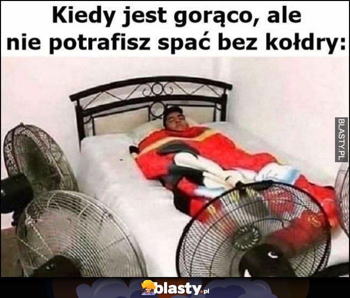 Kiedy jest gorąco, ale nie potrafisz spać bez kołdry przykryty wiatraki