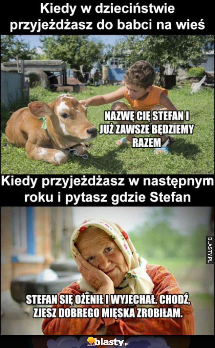 Kiedy przyjeżdżasz do babci na wieś krowa nazwę cię Stefan, babcia: krowa nie żyje, chodź zjesz dobrego mięska zrobiłam