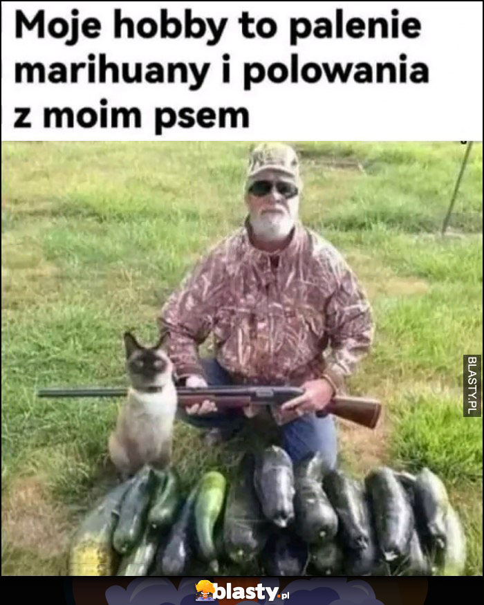 Moje hobby to palenie marihuany i polowania z moim psem kot warzywka