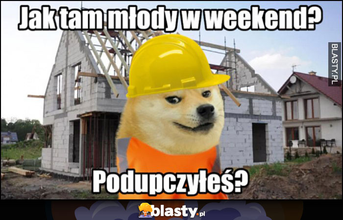 Jak tam młody w weeknend, podupczyłeś? Pies pieseł doge budowa na budowie