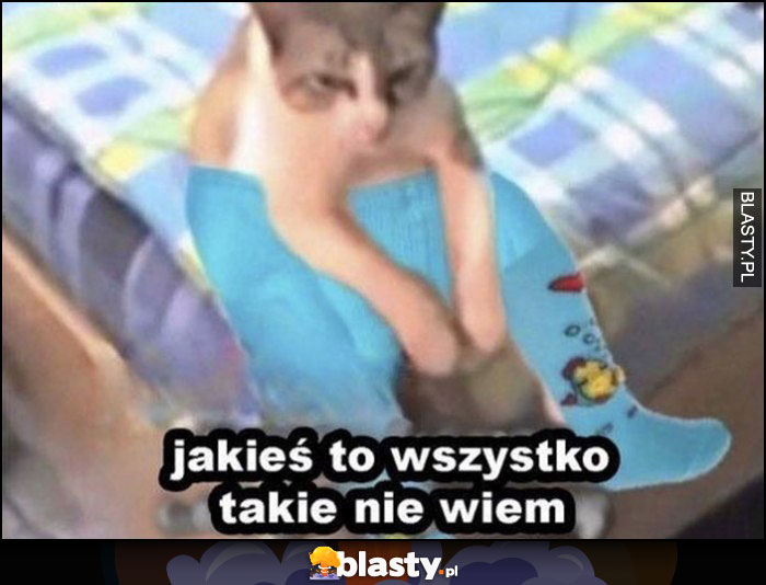 Jakieś to wszystko takie nie wiem kot siedzi na łóżku