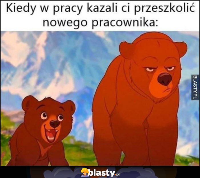 Kiedy w pracy kazali ci przeszkolić nowego pracownika niedźwiedź niedźwiadek miś