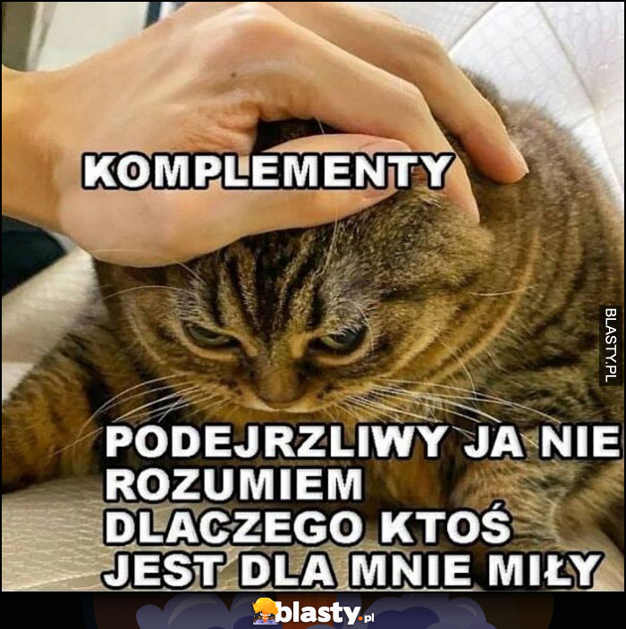 Komplementy vs kot podejrzliwy ja nie rozumiem dlaczego ktoś jest dla mnie miły