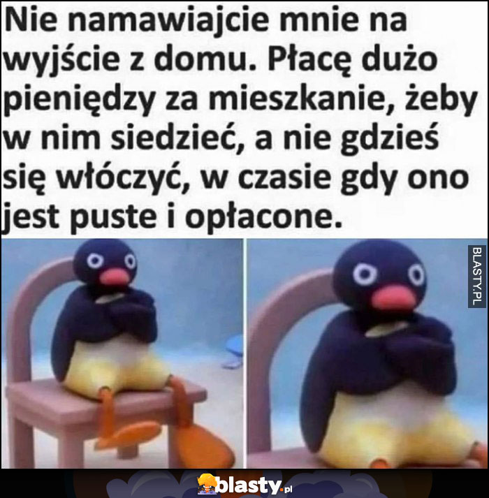 Nie namawiajcie mnie na wyjście z domu, płacę dużo pieniędzy za mieszkanie, żeby w nim siedzieć, a nie gdzieś się włóczyć, w czasie gdy ono jest puste i opłacone pingwin pingwinek