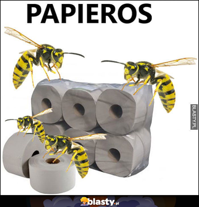 Papieros dosłownie papier os