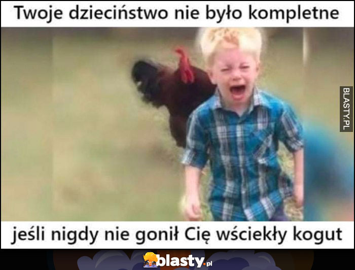 Twoje dzieciństwo nie było kompletne jeśli nigdy nie gonił Cię wściekły kogut