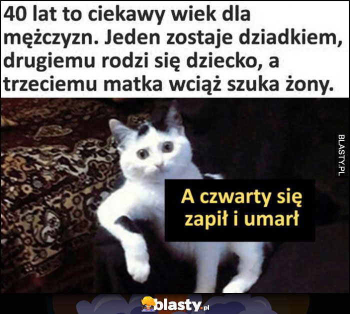 40 lat to ciekawy wiek: jeden zostaje dziadkiem, drugiemu rodzi się dziecko, trzeciemu matka wciąż szuka żony, a czwarty się zapił i umarł kot