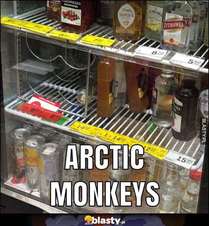 Arctic Monkeys mrożone małpki w lodówce w monopolowym